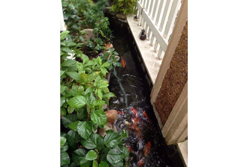 Nice House in quiet area of Thao Dien district 2 for rent