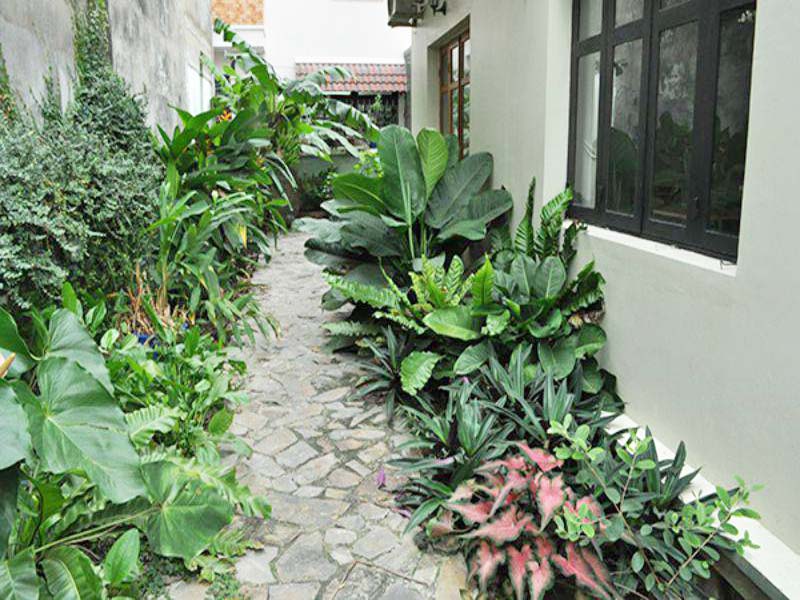 Industrial style serviced apartment on Tan Quy Dong area district 7 for rent
