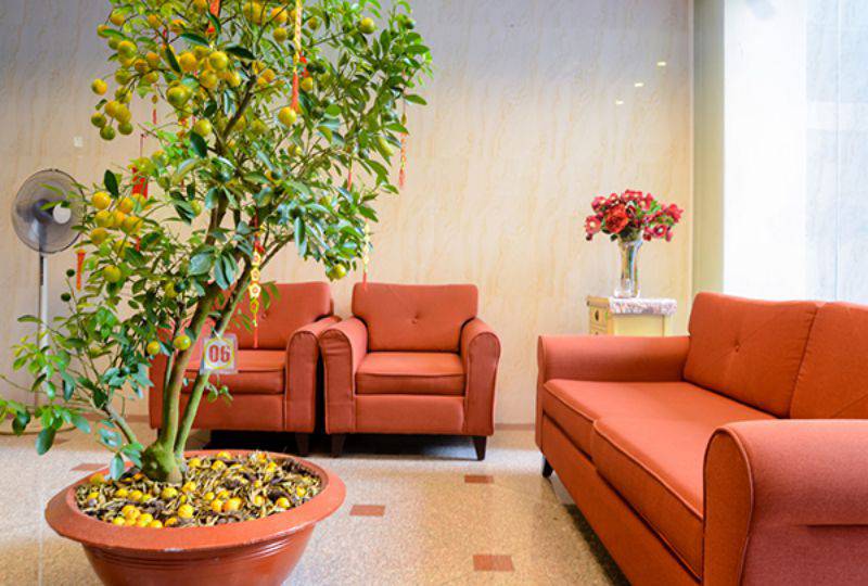 Nice Serviced Apartment on NTMK street District 3 Ho Chi Minh City for lease