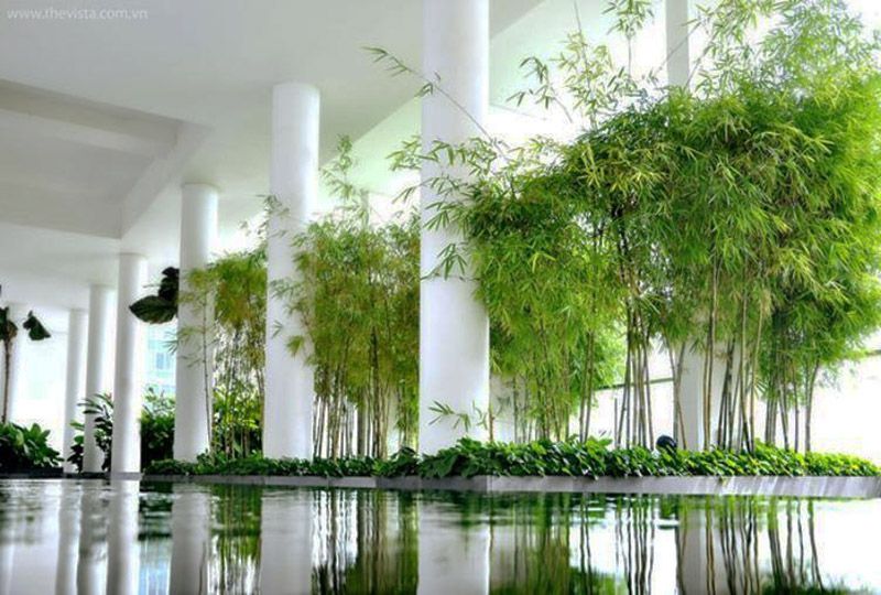 Three bedroom Apartment in The Vista An Phu district 2 Saigon for rent