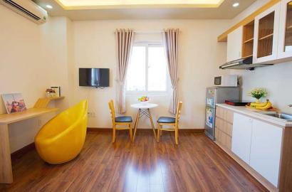 Elegant serviced apartment on Tan Dinh area district 1 for Rent