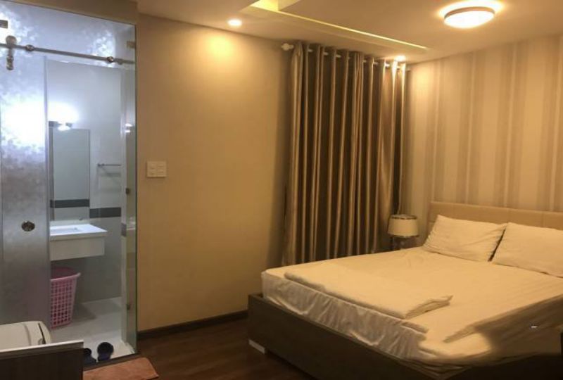 Studio on Dinh Tien Hoang street district 1 HCMC for rent
