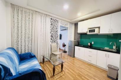 One bedroom serviced apartment rental in HCMC Dakao ward District 1