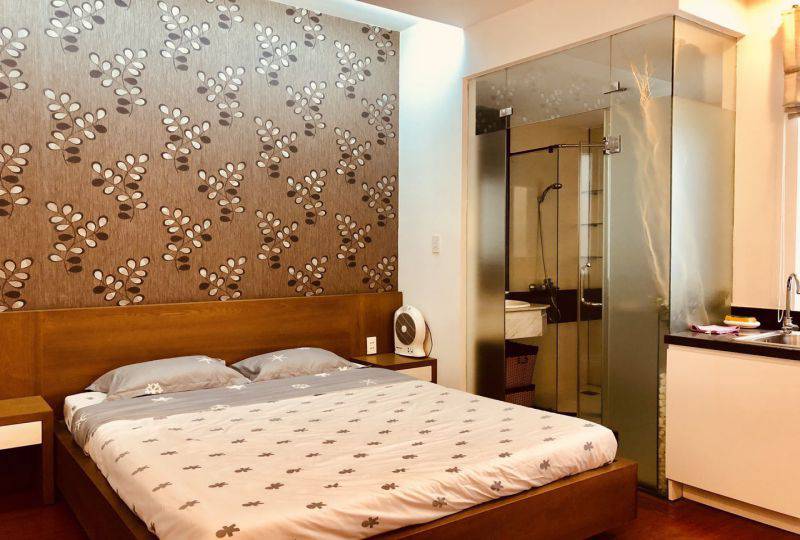 Studio serviced apartment for lease on Nguyen Dinh Chieu District 1 HCMC