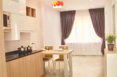 Nice serviced apartment for lease on Tran Quoc Thao street , center of district 3.