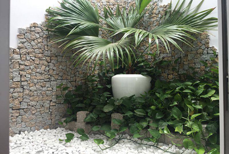 Penthouse serviced apartment for rent on Tran Quoc Thao street district 3