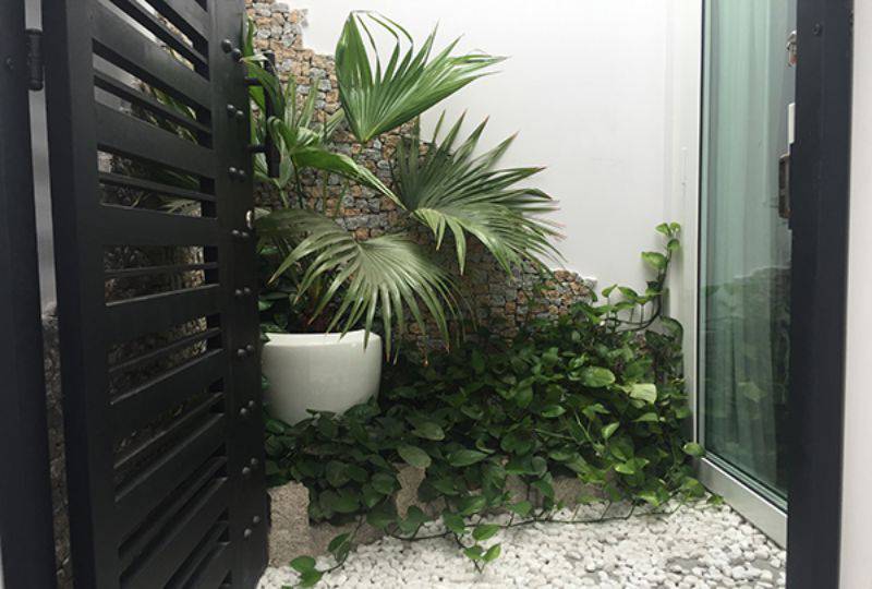 Penthouse serviced apartment for rent on Tran Quoc Thao street district 3