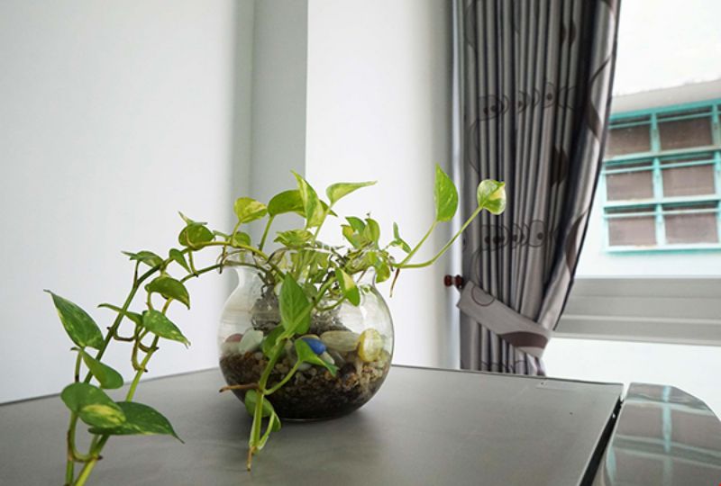 Studio service apartment for rent in Phu Nhuan district Nguyen Thi Huynh street