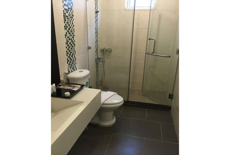 Diamond suite Serviced apartment in Tan Dinh ward district 3 now leasing