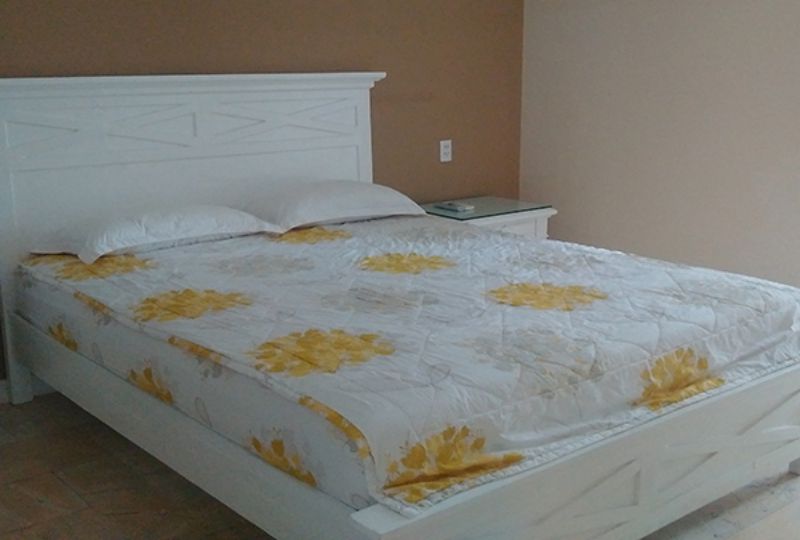 Luxury serviced apartment for rent in Thao Dien district 2 Ho Chi Minh city