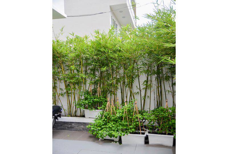 Nice serviced apartment for lease in quiet area of Quoc Huong st district 2