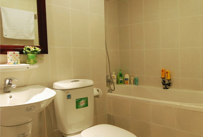 Nice serviced apartment for lease Saigon located at Nguyen Van Troi street