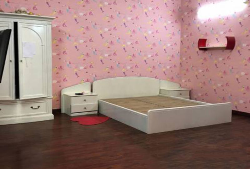 Nice house for rent in Tan Dinh ward district 1 Nguyen Van Nguyen street