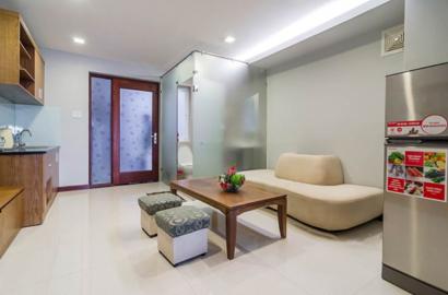 Nice serviced apartment for rent in Tan Binh district Hoang Sa street