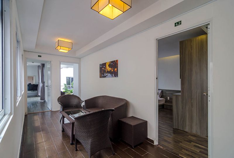 Penthouse serviced apartment for rent on Tran Dinh Xu street district 1