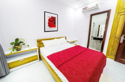 New studio serviced apartment for lease on Hoang Hoa Tham Binh Thanh