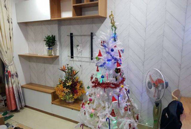 Nice apartment in Botanica  Pho Quang Phu Nhuan district for rent