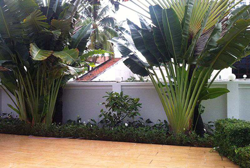 Lage villa for rent on Thao Dien area district 2 HCMC 