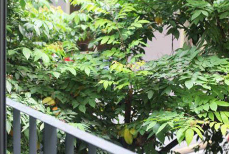Office for lease in Phu Nhuan district Ho Chi Minh Phan Dang Luu street