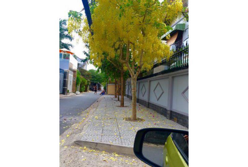 Large villa for rent in Thao Dien area street 47 district 2