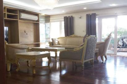 Penthouse serviced apartment for rent in Cuu Long street Tan Binh District