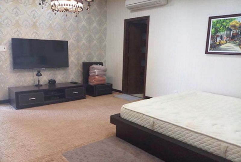 Penthouse serviced apartment for rent in Cuu Long street Tan Binh District