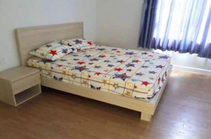 Single bedroom apartment for rent in district 2 Masteri Thao Dien building