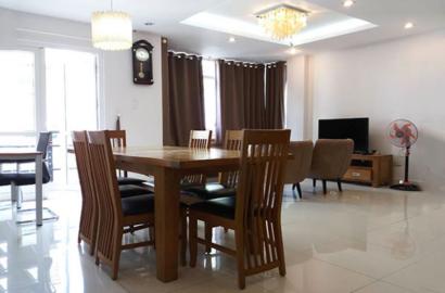Serviced apartment for lease at Cuu Long street Tan Binh district HCMC