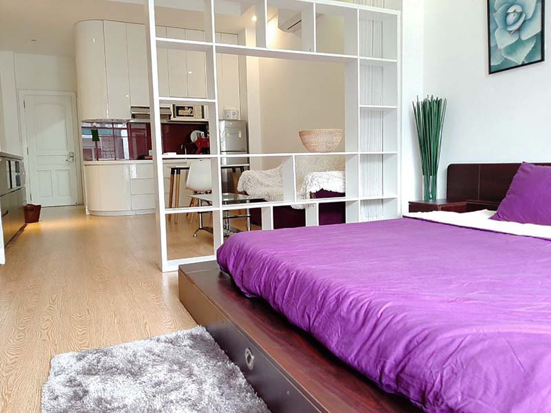 Cozy serviced apartment for rent in district 1 Nguyen Dinh Chieu Dakao